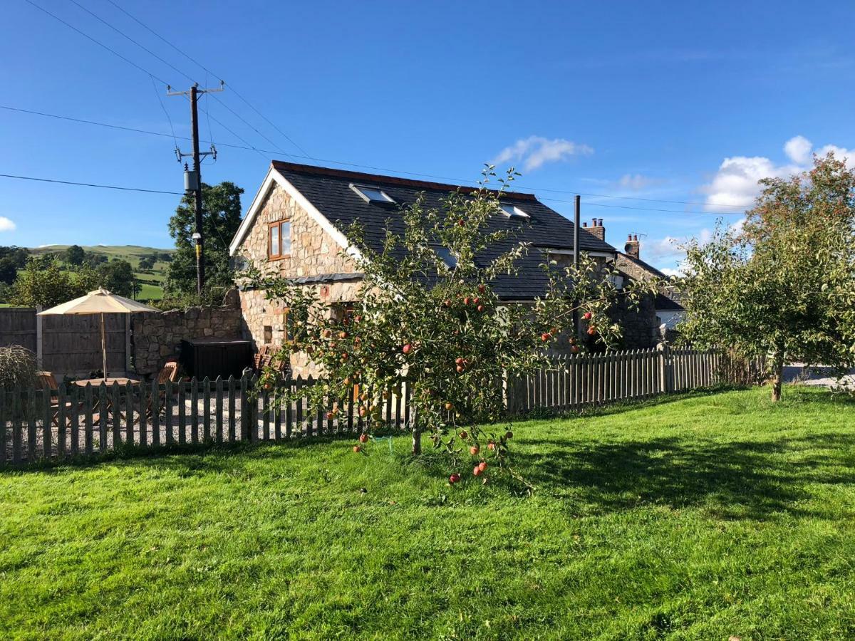 Villa Ty Gylfinir Llandegla Exterior foto